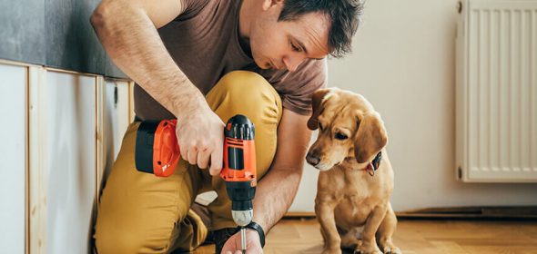 Budget Home Improvement Ideas for Under $100